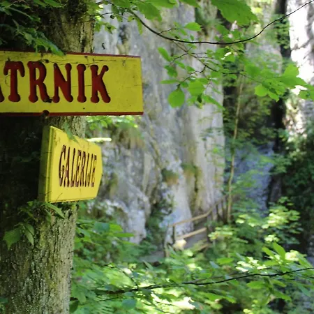 Homestead Zatrnik Near * Bled