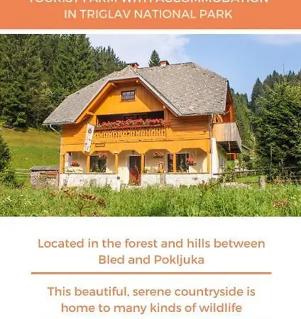 Homestead Zatrnik Near Bled