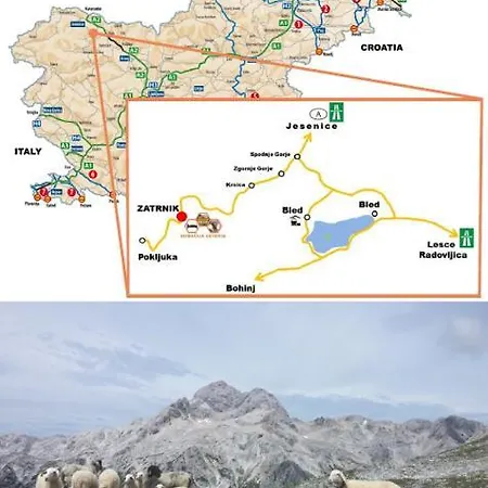 Homestead Zatrnik Near *